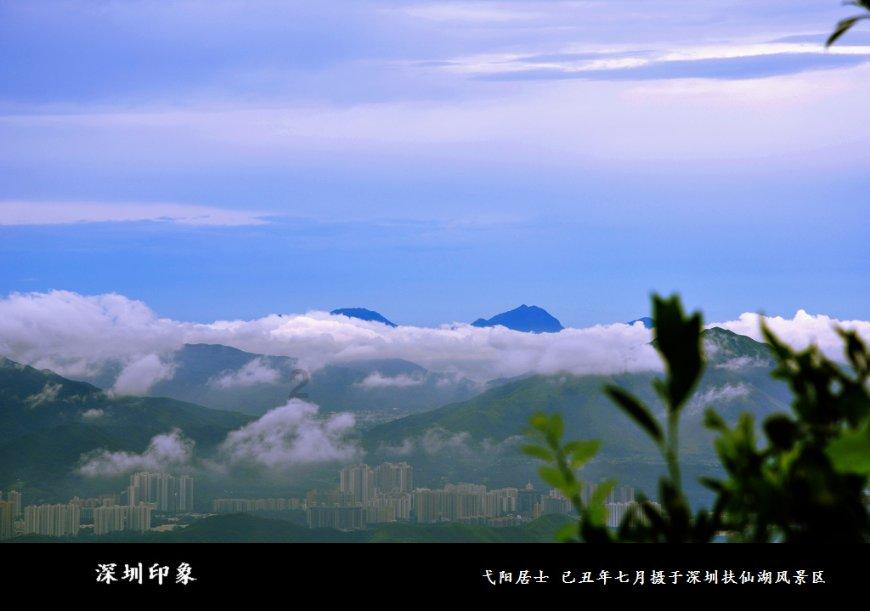 硕大的苹果