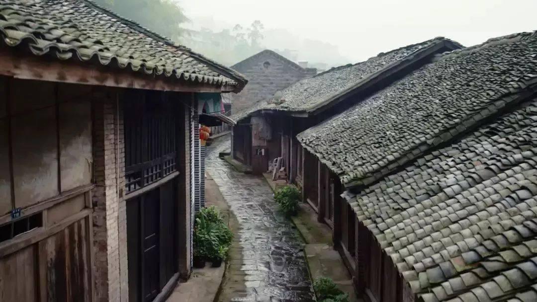 逃离金色蜜蜂森林